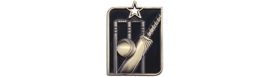  CRICKET MEDAL 63 x 40MM - GOLD, SILVER & BRONZE